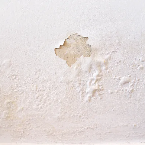 humidité cave peinture