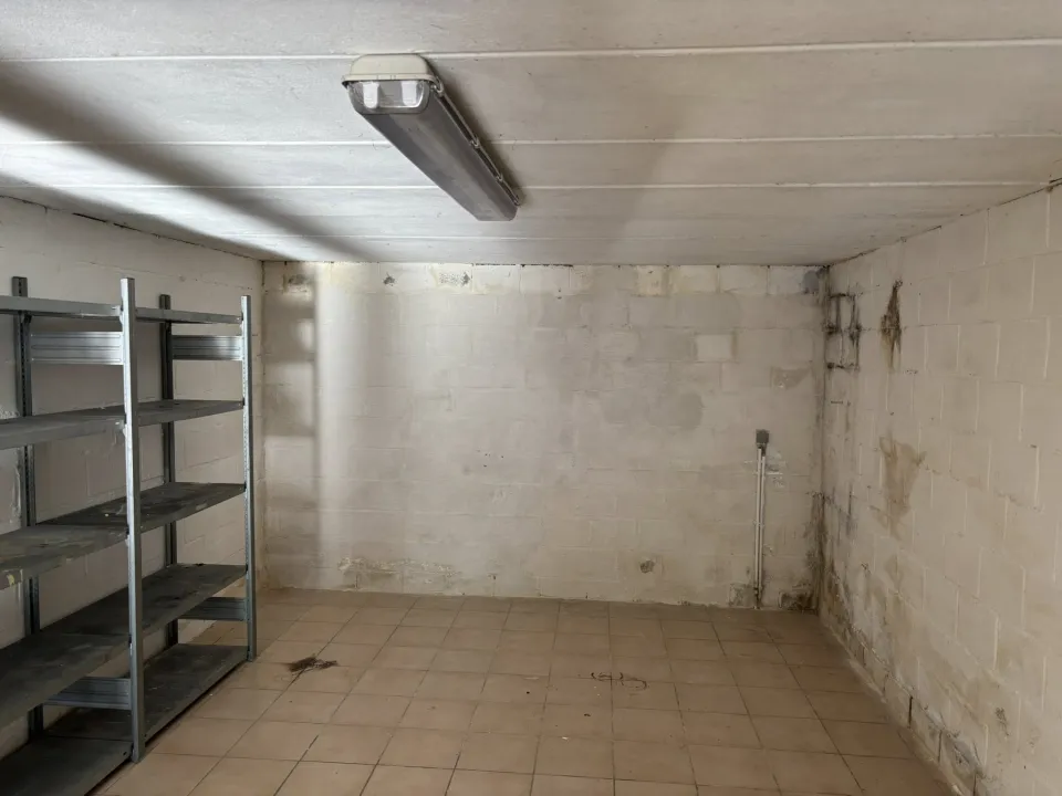traitement humidité bruxelles