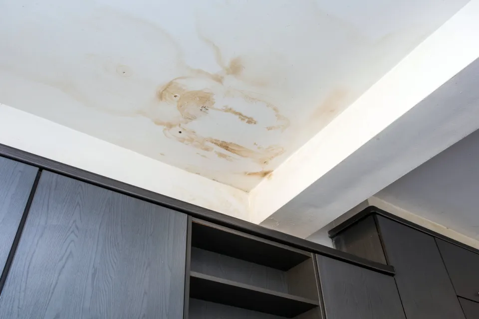 travaux humidité namur